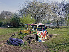 фото "Flower Pot Car"