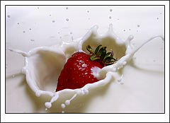 фото "Splash"