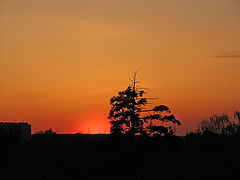 фото "Urban sunset"