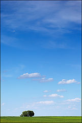 photo "***"