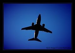 фото "Blue Heaven 01"