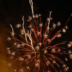 фото "indepenence day"