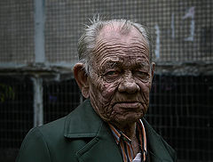фото "Линии жизни"