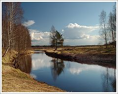 фото "Цна"