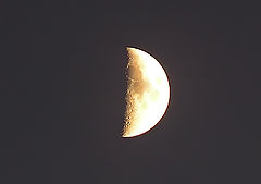 photo "The Moon"