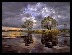 photo "Before  the May rain"