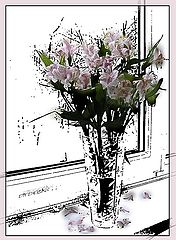 photo "***"