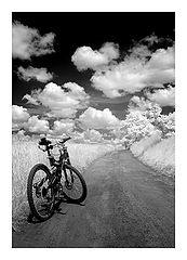 photo "Bike"