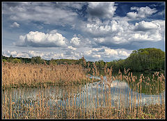 фото "Про весну"