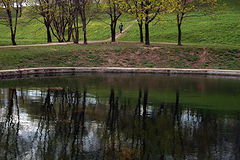 photo "reflections 2"