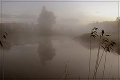 photo "Misty morning"