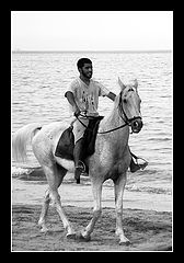 photo "Arabs"