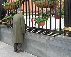 фото "9 мая...без цветов не пустили..."