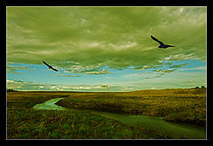 photo "***"