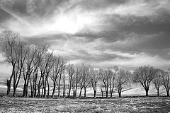фото "none"
