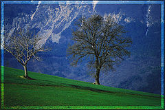 photo "under the mountain"