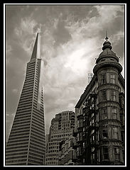 фото "Young and Old"