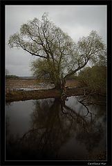 фото "Хмурое утро"