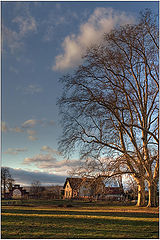 photo "At edge of village"