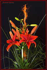 фото "red like love"