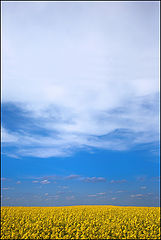 photo "***"