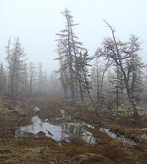 фото "Утро седое"