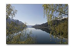 photo "Spring in Norway"
