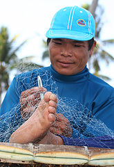 photo "Spining the net"