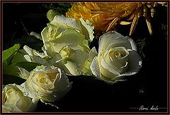 photo "after the rain"