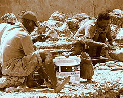 photo "Lunch time"