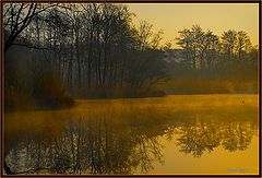 фото "awake all"
