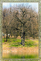 photo "***"