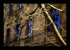 photo "***"