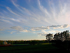 photo "***"