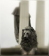 photo "***"