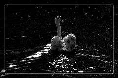 photo "let's go..."