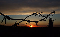 photo "***"