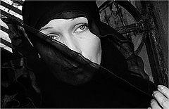 photo "***"