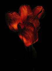 photo "***"