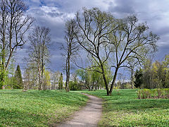 photo "***"