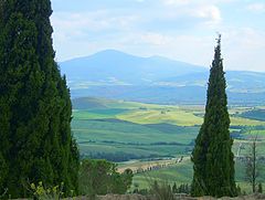 фото "Pienza - Toscana - Italia"