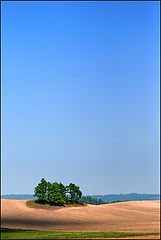 photo "***"