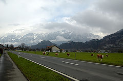 photo "***"