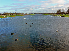 photo "Water Birds"