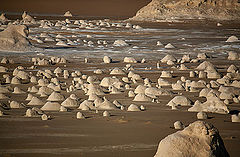 photo "White desert 01"