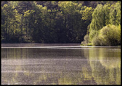 фото "Пыльное зеркало"