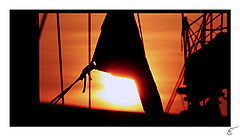 photo "the morning"