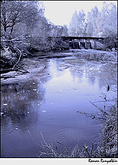 photo "***"
