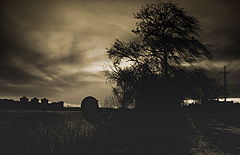 photo "***"