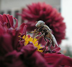 photo "lunch time"
